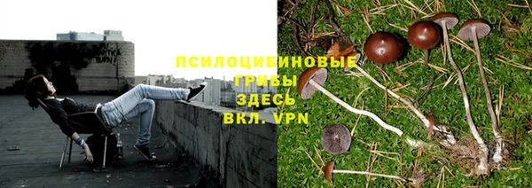 герыч Балахна