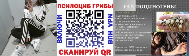 продажа наркотиков  Барабинск  Псилоцибиновые грибы прущие грибы 