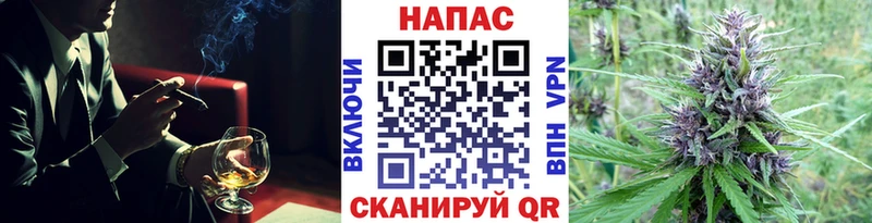 kraken как войти  Барабинск  Бошки марихуана сатива 